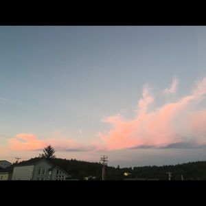 Meet your Posher, Rosa